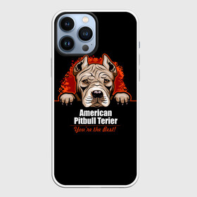 Чехол для iPhone 13 Pro Max с принтом Американский Питбультерьер (Pit Bull) в Белгороде,  |  | american pit bull terrier | boxer | bulldog | fighting dog | pit bull | американский питбультерьер | бойцовская собака | бойцовский пес | боксер | бульдог | волкодав | друг человека | кинолог | пес | питбуль | питбультерьер