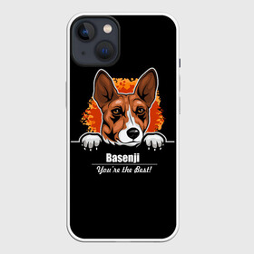 Чехол для iPhone 13 с принтом Басенджи (Basenji) в Белгороде,  |  | african dog | animal | basenji | congo terrier | dog | африканская собака | басенджи | год собаки | друг человека | животное | зверь | кинолог | конго терьер | пёс | собака басенджи | собаковод | четвероногий
