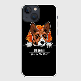 Чехол для iPhone 13 mini с принтом Басенджи (Basenji) в Белгороде,  |  | african dog | animal | basenji | congo terrier | dog | африканская собака | басенджи | год собаки | друг человека | животное | зверь | кинолог | конго терьер | пёс | собака басенджи | собаковод | четвероногий