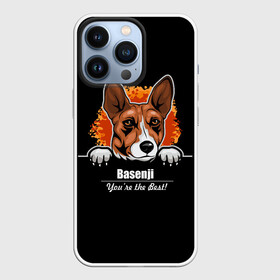 Чехол для iPhone 13 Pro с принтом Басенджи (Basenji) в Белгороде,  |  | african dog | animal | basenji | congo terrier | dog | африканская собака | басенджи | год собаки | друг человека | животное | зверь | кинолог | конго терьер | пёс | собака басенджи | собаковод | четвероногий