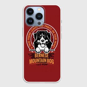Чехол для iPhone 13 Pro с принтом Бернский Зенненхунд (Bernese Mountain) в Белгороде,  |  | anim | bernese mountain dog | bernese sheepdog | dog | бернская овчарка | бернский зенненхунд | год собаки | друг человека | животное | зверь | кинолог | овчарка | пастушья собака | пёс | порода собак