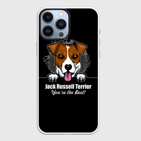 Чехол для iPhone 13 Pro Max с принтом Джек Рассел Терьер (Jack Russell Terrier) в Белгороде,  |  | animal | dog terrier | jack russell terrier | год собаки | джек рассел терьер | друг человека | животное | зверь | кинолог | охотничья собака | пёс | пёсик | собака джек рассел терьер | собаковод | терьер
