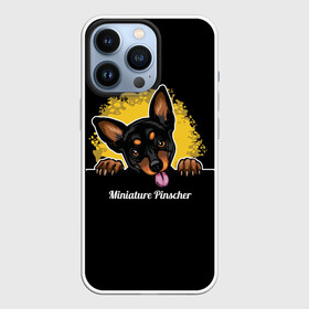 Чехол для iPhone 13 Pro с принтом Пинчер (Miniature Pinscher) в Белгороде,  |  | animal | dog | german pinscher | min pi | miniature pinscher | pinscher | год собаки | друг человека | животное | зверь | кинолог | мин пин | миниатюрный пинчер | немецкий пинчер | пёс | пинчер | порода собак | собака