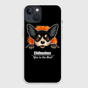 Чехол для iPhone 13 с принтом Чихуахуа (Chihuahua) в Белгороде,  |  | animal | chihuahua | dog | год собаки | друг человека | животное | зверь | карликовая собачка | карманная собачка | кинолог | маленькая собака | пёс | пёсик | собака чихуахуа | собаковод | четвероногий