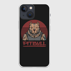 Чехол для iPhone 13 mini с принтом Pitbull (Питбультерьер) в Белгороде,  |  | american pit bull terrier | boxer | bulldog | fighting dog | pit bull | американский питбультерьер | бойцовская собака | бойцовский пес | боксер | бульдог | кинолог | питбуль | питбультерьер | собаковод