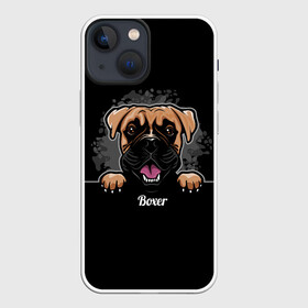 Чехол для iPhone 13 mini с принтом Боксёр (Boxer) в Белгороде,  |  | animal | boxer | bulldog | dog | fighting dog | pit bull | бойцовская собака | боксёр | бульдог | год собаки | друг человека | животное | кинолог | немецкий боксёр | пёс | питбуль | порода собак | собака боксёр | собаковод