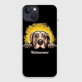 Чехол для iPhone 13 с принтом Веймаранер (Weimaraner) в Белгороде,  |  | animal | dog | hunting dog | weimaraner | веймаранер | веймарская овчарка | год собаки | друг человека | животное | зверь | кинолог | легавая | охотничья собака | пёс | порода собак | собака | собака веймаранер