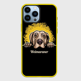 Чехол для iPhone 13 Pro Max с принтом Веймаранер (Weimaraner) в Белгороде,  |  | animal | dog | hunting dog | weimaraner | веймаранер | веймарская овчарка | год собаки | друг человека | животное | зверь | кинолог | легавая | охотничья собака | пёс | порода собак | собака | собака веймаранер