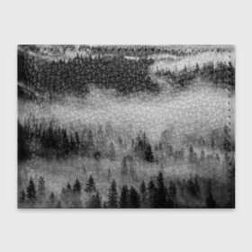 Обложка для студенческого билета с принтом ТУМАННЫЙ ЛЕС | FOREST в Белгороде, натуральная кожа | Размер: 11*8 см; Печать на всей внешней стороне | forest | деревья | дым | лес | мрачный лес | природа | туман