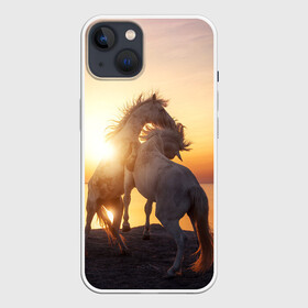 Чехол для iPhone 13 с принтом Лошади на закате в Белгороде,  |  | восход | животные | закат | звери | кони | конь | коняшка | лошади | лошадка | лошадь | на восходе | на закате | пони | природа | солнце
