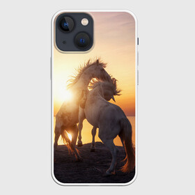 Чехол для iPhone 13 mini с принтом Лошади на закате в Белгороде,  |  | восход | животные | закат | звери | кони | конь | коняшка | лошади | лошадка | лошадь | на восходе | на закате | пони | природа | солнце