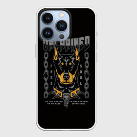 Чехол для iPhone 13 Pro с принтом Доберман Пинчер в Белгороде,  |  | animal | doberman | dog | pinscher | schnauzer | год собаки | доберман | друг человека | животное | зверь | кинолог | пес | пинчер | порода собак | собака доберман | собаковод | хищник | четвероногий | шнауцер