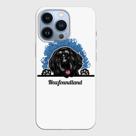 Чехол для iPhone 13 Pro с принтом Ньюфаундленд (Newfoundland) в Белгороде,  |  | animal | diver dog | dog | newfoundland dog | год собаки | друг человека | животное | зверь | кинолог | ньюфаундленд | пёс | порода собак | собака | собака водолаз | собака ньюфаундленд | собаковод | щенок