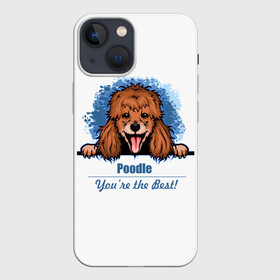 Чехол для iPhone 13 mini с принтом Собака Пудель (Poodle) в Белгороде,  |  | dog | dog poodle | m | miniature poodle | poodle | poodle puppies | royal poodle | белый пудель | год собаки | друг человека | животное | зверь | карликовый пудель | кинолог | королевский пудель | мини пудель | пёс | пудель