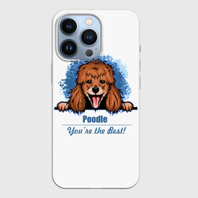 Чехол для iPhone 13 Pro с принтом Собака Пудель (Poodle) в Белгороде,  |  | dog | dog poodle | m | miniature poodle | poodle | poodle puppies | royal poodle | белый пудель | год собаки | друг человека | животное | зверь | карликовый пудель | кинолог | королевский пудель | мини пудель | пёс | пудель