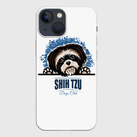 Чехол для iPhone 13 mini с принтом Ши Тцу (Shih Tzu) в Белгороде,  |  | animal | dog | год собаки | друг человека | животное | зверь | кинолог | красавица | милашка | пёс | пёсик | порода собак | собака | собака лев | собака ши тцу | собаковод | собачка хризантема | четвероногий