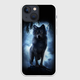 Чехол для iPhone 13 mini с принтом ВОЛК БРОДЯГА в Белгороде,  |  | animals | dark | gray | hunter | night | wolf | бродяга | волк | животные | звери | ночь | одиночка | охотник | серый | хищник