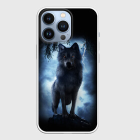 Чехол для iPhone 13 Pro с принтом ВОЛК БРОДЯГА в Белгороде,  |  | animals | dark | gray | hunter | night | wolf | бродяга | волк | животные | звери | ночь | одиночка | охотник | серый | хищник