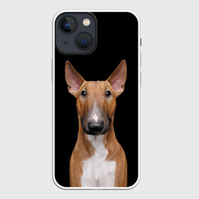 Чехол для iPhone 13 mini с принтом Строгий смелый взгляд в Белгороде,  |  | bull terrier | dog | ears | eyes | muzzle | view | бультерьер | взгляд | глаза | пёс | собака | уши