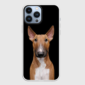 Чехол для iPhone 13 Pro Max с принтом Строгий смелый взгляд в Белгороде,  |  | bull terrier | dog | ears | eyes | muzzle | view | бультерьер | взгляд | глаза | пёс | собака | уши