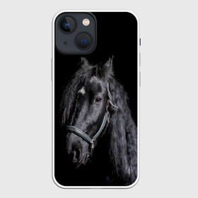 Чехол для iPhone 13 mini с принтом Лошадь на черном фоне в Белгороде,  |  | восход | животные | закат | звери | кони | конь | коняшка | лошади | лошадка | лошадь | на восходе | на закате | пони | природа | солнце