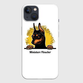 Чехол для iPhone 13 с принтом Мини Пинчер в Белгороде,  |  | animal | dog | german pinscher | min pi | miniature pinscher | pinscher | год собаки | друг человека | животное | зверь | кинолог | мин пин | миниатюрный пинчер | немецкий пинчер | пёс | пинчер | порода собак | собака