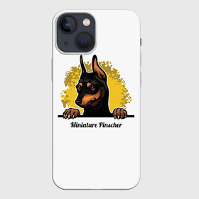 Чехол для iPhone 13 mini с принтом Мини Пинчер в Белгороде,  |  | animal | dog | german pinscher | min pi | miniature pinscher | pinscher | год собаки | друг человека | животное | зверь | кинолог | мин пин | миниатюрный пинчер | немецкий пинчер | пёс | пинчер | порода собак | собака