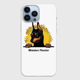 Чехол для iPhone 13 Pro Max с принтом Мини Пинчер в Белгороде,  |  | animal | dog | german pinscher | min pi | miniature pinscher | pinscher | год собаки | друг человека | животное | зверь | кинолог | мин пин | миниатюрный пинчер | немецкий пинчер | пёс | пинчер | порода собак | собака