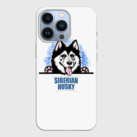 Чехол для iPhone 13 Pro с принтом Сибирский Хаски (Siberian Husky) в Белгороде,  |  | ani | dog | husky | siberian husky | wolf | аляскинский маламут | волк | год собаки | друг человека | ездовая собака | животное | зверь | ищейка | кинолог | кость | лайка | пёс | сибирский хаски | сибирь | собака