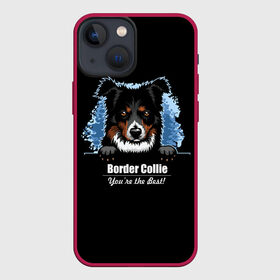 Чехол для iPhone 13 mini с принтом Бордер Колли (Border Collie) в Белгороде,  |  | animal | border collie | dog | бордер колли | год собаки | друг человека | животное | зверь | ищейка | кинолог | кость | овчарка | пастушья собака | пёс | порода собак | собака бордер колли | собаковод