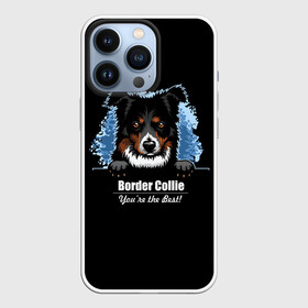 Чехол для iPhone 13 Pro с принтом Бордер Колли (Border Collie) в Белгороде,  |  | Тематика изображения на принте: animal | border collie | dog | бордер колли | год собаки | друг человека | животное | зверь | ищейка | кинолог | кость | овчарка | пастушья собака | пёс | порода собак | собака бордер колли | собаковод