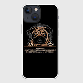 Чехол для iPhone 13 mini с принтом Собака Мопс в Белгороде,  |  | bulldog | pug | pug dog | pug puppies | бульдог | год собаки | друг человека | дружные мопсы | дядя мопс | животное | зверь | кинолог | мопс | пёс | порода собак | собака боксёр | собака мопс | собаковод | четвероногий
