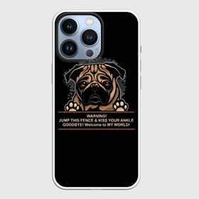 Чехол для iPhone 13 Pro с принтом Собака Мопс в Белгороде,  |  | bulldog | pug | pug dog | pug puppies | бульдог | год собаки | друг человека | дружные мопсы | дядя мопс | животное | зверь | кинолог | мопс | пёс | порода собак | собака боксёр | собака мопс | собаковод | четвероногий