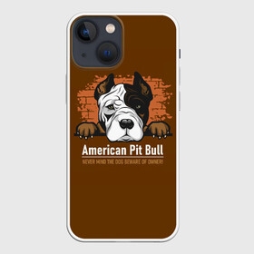 Чехол для iPhone 13 mini с принтом Американский Питбультерьер (Pit Bull Terrier) в Белгороде,  |  | american pit bull terrier | boxer | bulldog | fighting dog | pit bull | американский питбультерьер | бойцовская собака | бойцовский пес | боксер | бульдог | волкодав | друг человека | кинолог | пес | питбуль | питбультерьер