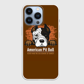 Чехол для iPhone 13 Pro с принтом Американский Питбультерьер (Pit Bull Terrier) в Белгороде,  |  | american pit bull terrier | boxer | bulldog | fighting dog | pit bull | американский питбультерьер | бойцовская собака | бойцовский пес | боксер | бульдог | волкодав | друг человека | кинолог | пес | питбуль | питбультерьер