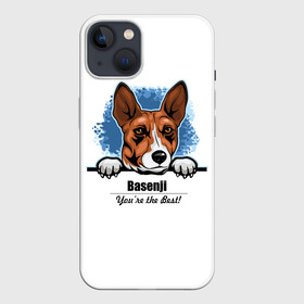 Чехол для iPhone 13 с принтом Собака Басенджи в Белгороде,  |  | african dog | animal | basenji | congo terrier | dog | африканская собака | басенджи | год собаки | друг человека | животное | зверь | кинолог | конго терьер | пёс | собака басенджи | собаковод | четвероногий