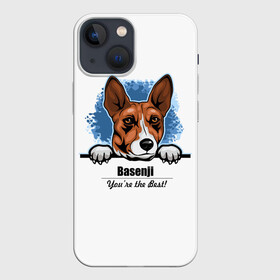 Чехол для iPhone 13 mini с принтом Собака Басенджи в Белгороде,  |  | african dog | animal | basenji | congo terrier | dog | африканская собака | басенджи | год собаки | друг человека | животное | зверь | кинолог | конго терьер | пёс | собака басенджи | собаковод | четвероногий