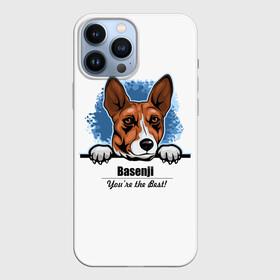 Чехол для iPhone 13 Pro Max с принтом Собака Басенджи в Белгороде,  |  | african dog | animal | basenji | congo terrier | dog | африканская собака | басенджи | год собаки | друг человека | животное | зверь | кинолог | конго терьер | пёс | собака басенджи | собаковод | четвероногий