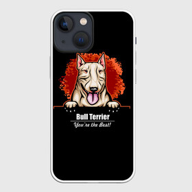 Чехол для iPhone 13 mini с принтом Собака Бультерьер в Белгороде,  |  | bull terrier | bulldog | dog | fighting dog | pit bull | terrier | бойцовская собака | бульдог | бультерьер | год собаки | друг человека | животное | зверь | кинолог | кость | пёс | питбуль | порода собак | собака