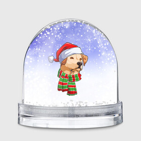 Игрушка Снежный шар с принтом Новогодний Лабрадор   New Years Labrador в Белгороде, Пластик | Изображение внутри шара печатается на глянцевой фотобумаге с двух сторон | christmas | dog | labrador | retriever | santa | дед мороз | зима | лабрадор | новый год | ретривер | рождество | санта | снег | снежинка | собака | собачка | щенок