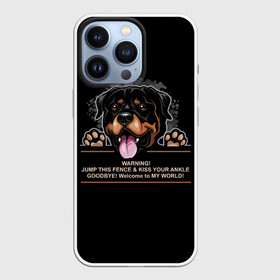 Чехол для iPhone 13 Pro с принтом Собака Ротвейлер в Белгороде,  |  | animal | dog | fighting dog | rottweiler | бойцовская собака | год собаки | друг человека | животное | зверь | кинолог | пёс | порода собак | ротвейлер | собака ротвейлер | собаковод | хищник | четвероногий