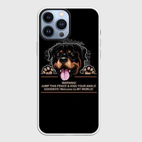 Чехол для iPhone 13 Pro Max с принтом Собака Ротвейлер в Белгороде,  |  | animal | dog | fighting dog | rottweiler | бойцовская собака | год собаки | друг человека | животное | зверь | кинолог | пёс | порода собак | ротвейлер | собака ротвейлер | собаковод | хищник | четвероногий