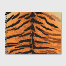Альбом для рисования с принтом ТИГРИНАЯ ШКУРА в Белгороде, 100% бумага
 | матовая бумага, плотность 200 мг. | 2022 | christmas | merry | new | tiger | year | год | животные | новый | рождество | текструа | тигр | тигра | тигриная | тигровая | шерсть