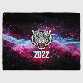 Плед 3D с принтом ЧЁРНЫЙ ТИГР НОВЫЙ ГОД 2022   GRAY TIGER NEW YEAR в Белгороде, 100% полиэстер | закругленные углы, все края обработаны. Ткань не мнется и не растягивается | 2022 | beast | merry christmas | new year | red bow | santa hat | snow | tiger | winter | winter is coming | year of the tiger | год тигра | дед мороз | животные | звери | зверь | зима | зима 2022 | зима близко | новог | новогодни