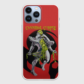 Чехол для iPhone 13 Pro Max с принтом Horror Skull | Cannibal Corpse в Белгороде,  |  | Тематика изображения на принте: cannibal | cannibal corpse | corpse | death metal | deathgrind | horror | дэт метал | дэтграйнд | каннибал корпс | кеннибал корпс | кэннибал корпс | скелет | труп каннибала | ужас | ужастик | хорор | хоррор