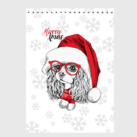 Скетчбук с принтом Happy Christmas кокер спаниель в Белгороде, 100% бумага
 | 48 листов, плотность листов — 100 г/м2, плотность картонной обложки — 250 г/м2. Листы скреплены сверху удобной пружинной спиралью | american | cap | christmas | cocker spaniel | happy christmas | knitted scarf | new year | purebred dog | red | santa claus | snowflakes | американский | вязаный шарф | кокер спаниель | колпак | красные | новый год | очки | породистая собака | р