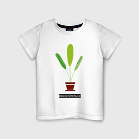 Детская футболка хлопок с принтом Растение в горшке Восхитительно в Белгороде, 100% хлопок | круглый вырез горловины, полуприлегающий силуэт, длина до линии бедер | дом | интерьер | листья | растение | растение в горшке | уют | флора | цветок