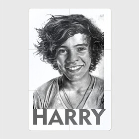 Магнитный плакат 2Х3 с принтом Harry  Styles в Белгороде, Полимерный материал с магнитным слоем | 6 деталей размером 9*9 см | harry edward styles | британец | бритпопо | гарри стайлс | дирекшин | дирекшины