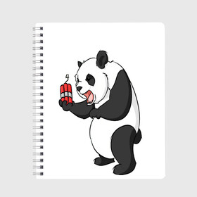 Тетрадь с принтом Взрывная панда в Белгороде, 100% бумага | 48 листов, плотность листов — 60 г/м2, плотность картонной обложки — 250 г/м2. Листы скреплены сбоку удобной пружинной спиралью. Уголки страниц и обложки скругленные. Цвет линий — светло-серый
 | bomb | dinamit | panda | бомба | динамит | животное | панда