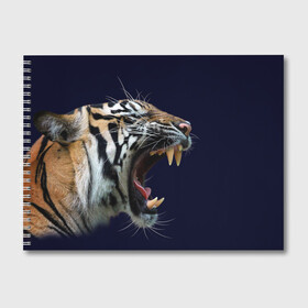 Альбом для рисования с принтом Оскал тигра | Большая кошка в Белгороде, 100% бумага
 | матовая бумага, плотность 200 мг. | Тематика изображения на принте: 2022 | big teeth | fangs | grin | tiger | tigr | tigris | большая кошка | большие зубы | клыки | новый год | оскалиться | острые клыки | полосатая кошка | скалить | скалить зубы | тигр